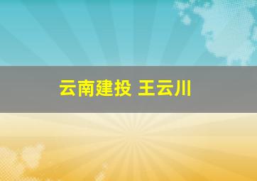 云南建投 王云川